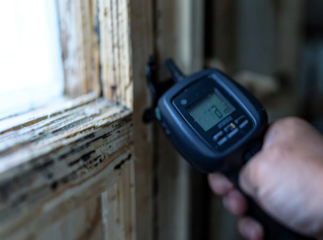 Commercial Water Damage Restoration in Colesburg, IA